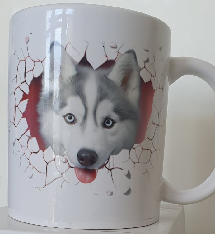 MUG - Chien et Chat