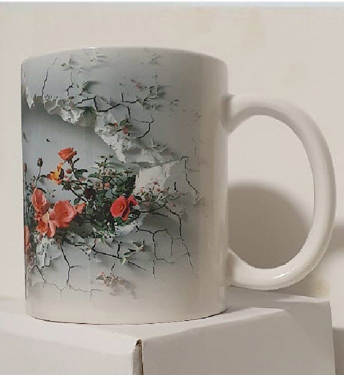 MUG - bi-chrome